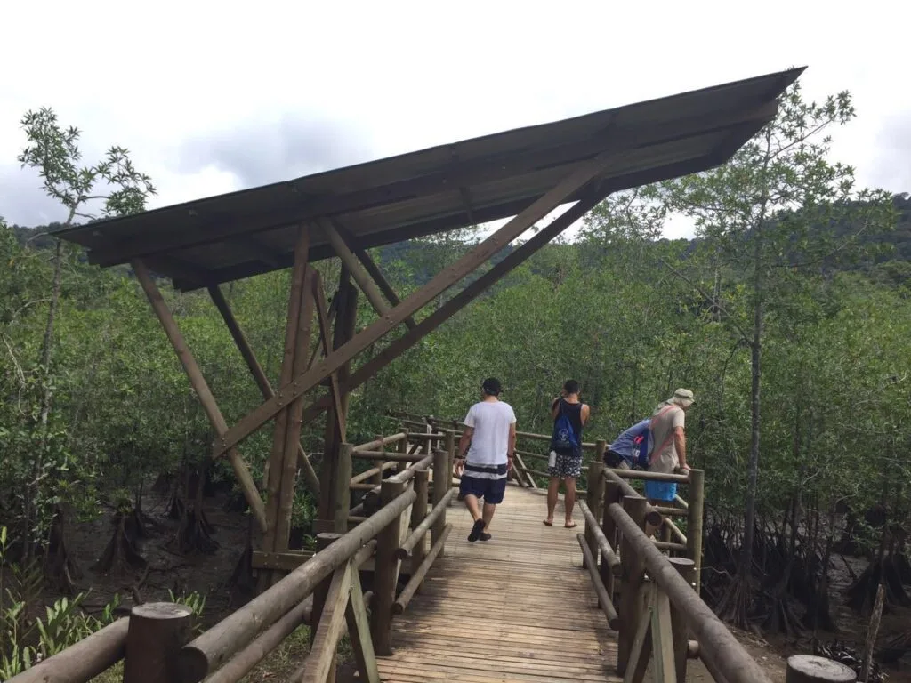 Que hacer en bahia solano (99) 사진