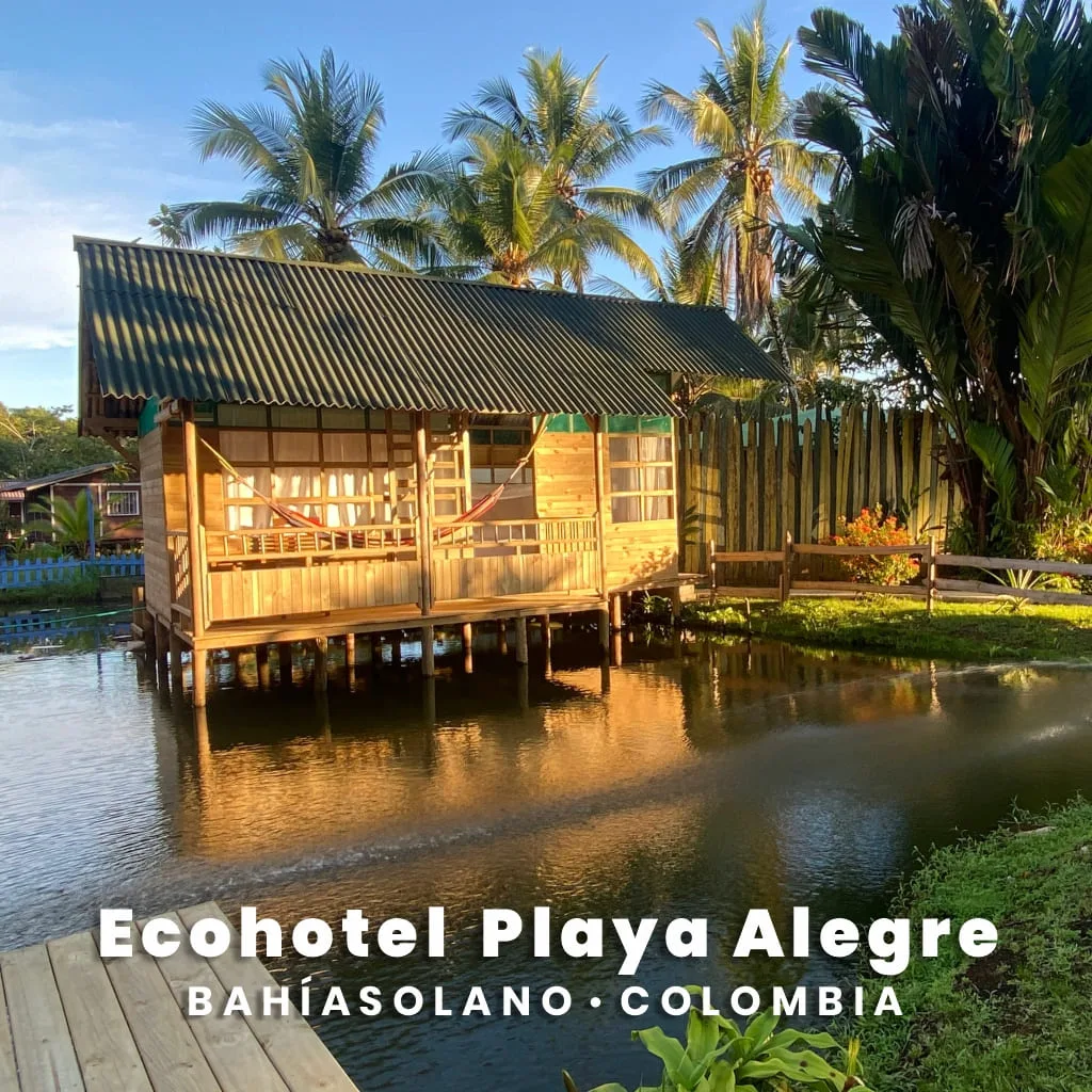 Material de apoyo para Agencias de turismo - Almar Viajes y Turismo