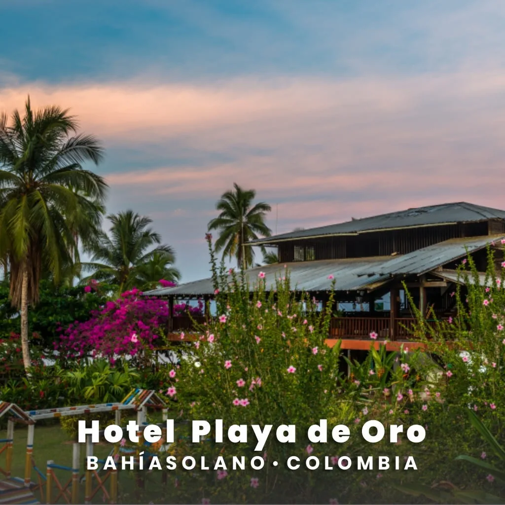 Material de apoyo para Agencias de turismo - Almar Viajes y Turismo